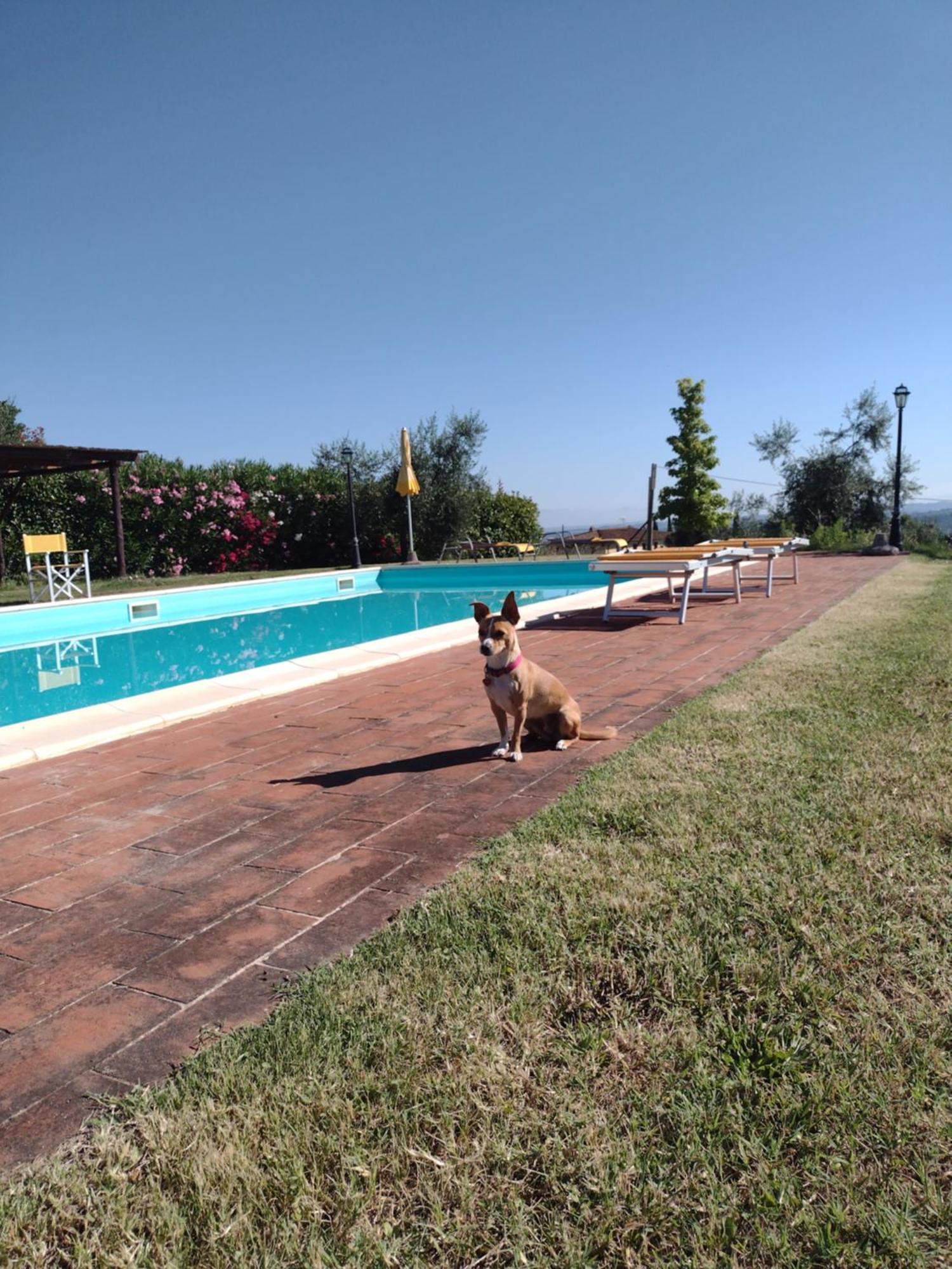Le Pergoline B&B Casciana Terme Zewnętrze zdjęcie
