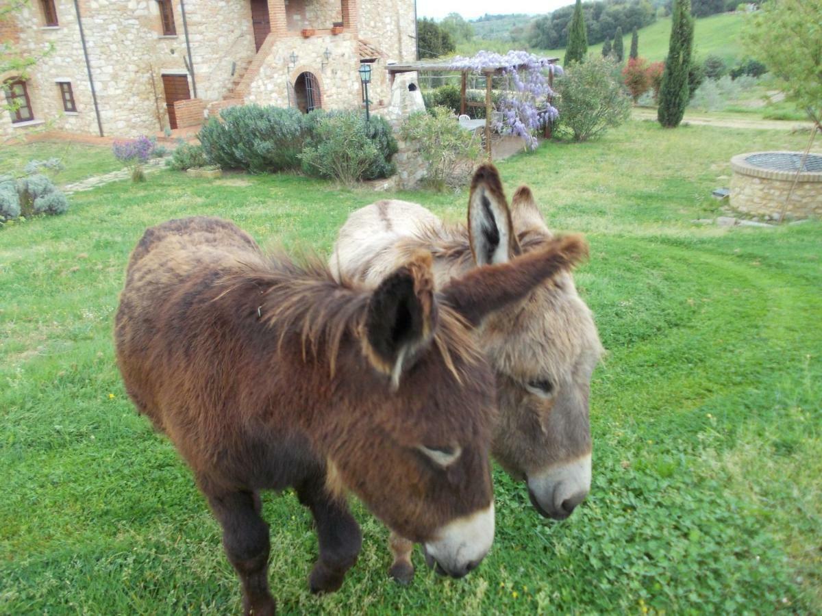 Le Pergoline B&B Casciana Terme Zewnętrze zdjęcie