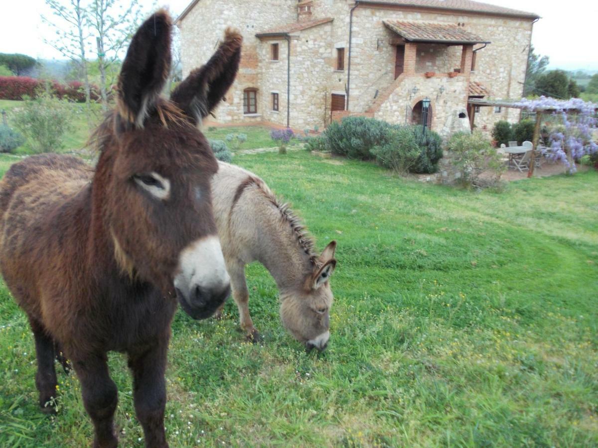 Le Pergoline B&B Casciana Terme Zewnętrze zdjęcie